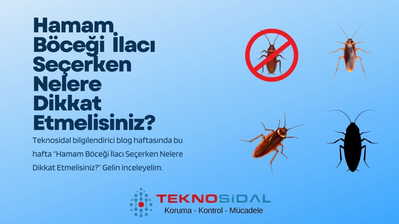 Hamam Böceği İlacı Seçerken Nelere Dikkat Etmelisiniz?