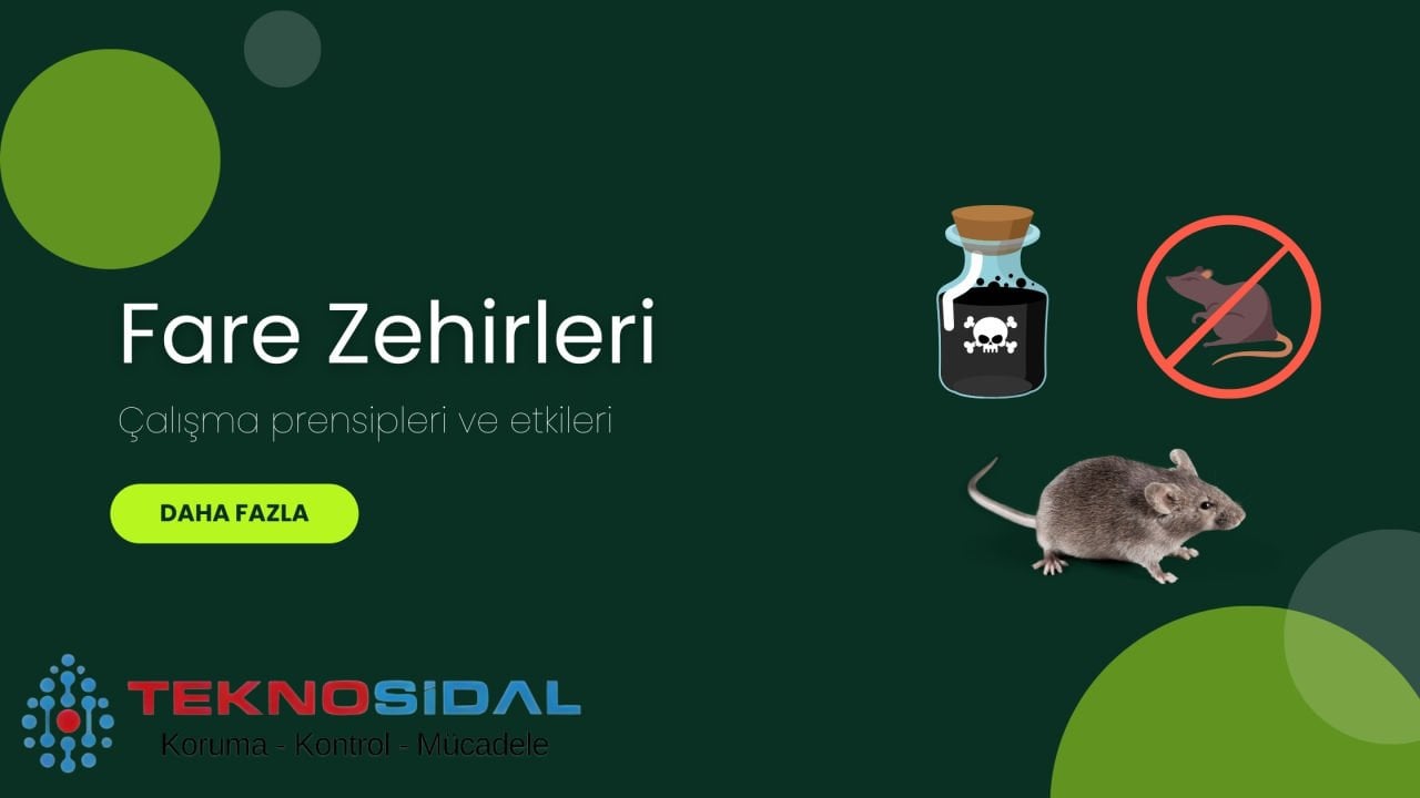 Fare Zehirleri: Çalışma Prensipleri ve Etkileri