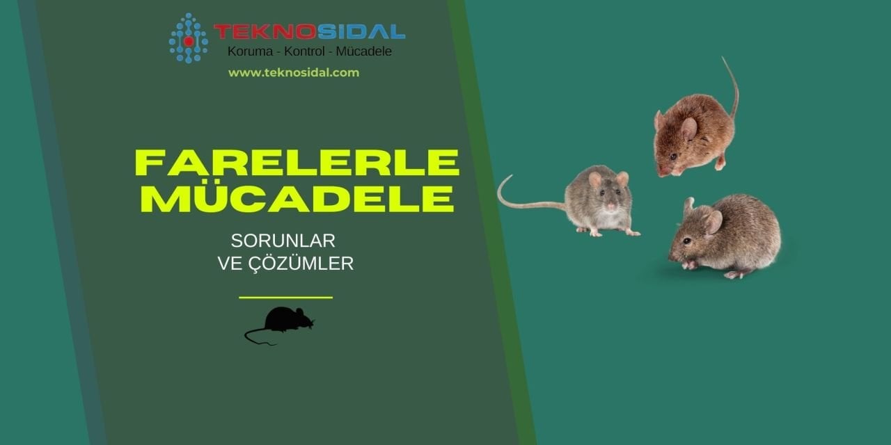 Farelerle Mücadele: Sorunlar ve Çözümler