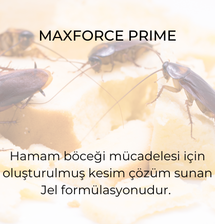 Maxforce Prime 30 g