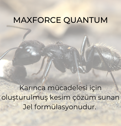 Maxforce Quantum 30 g